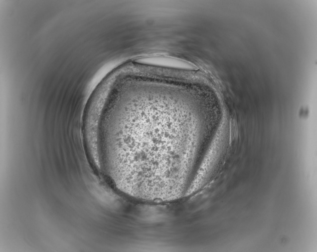 X0000089950147200707201933