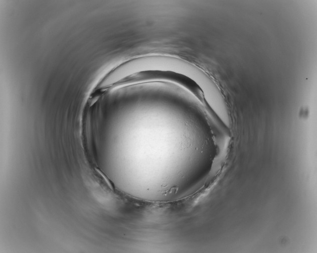 X0000089950148200707201933