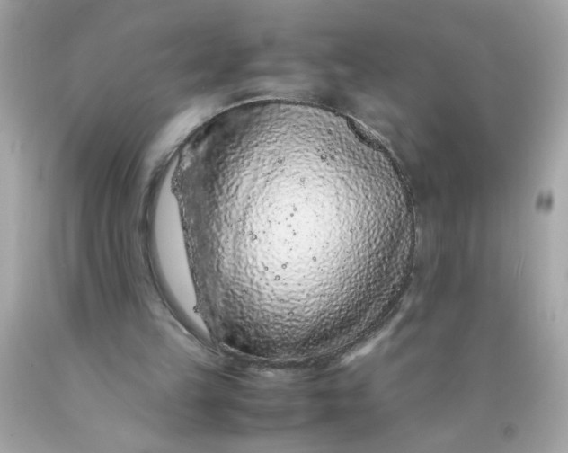 X0000089950149200707201933