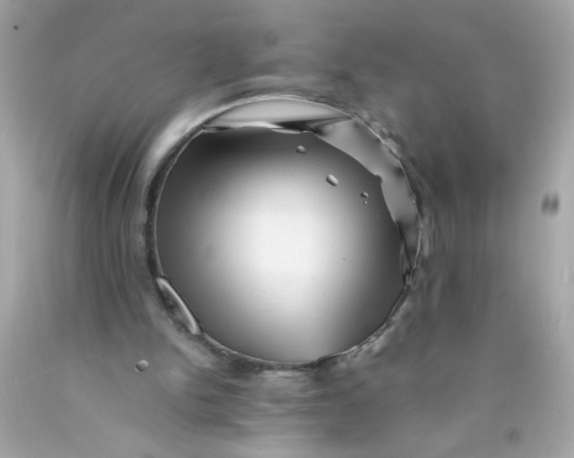 X0000089950150200707201933