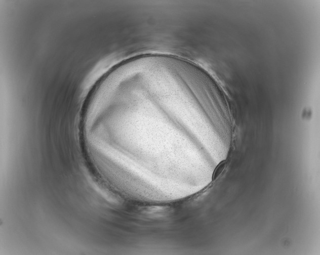 X0000089950151200707201933