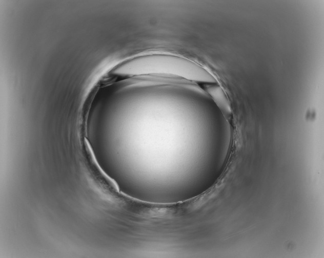 X0000089950152200707201933