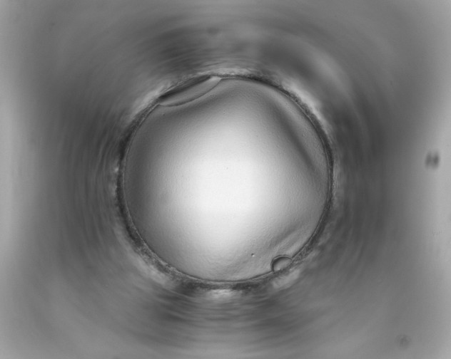 X0000089950153200707201933