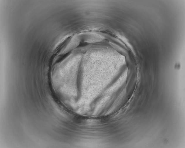 X0000089950154200707201933