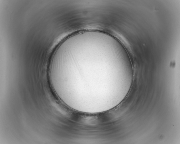 X0000089950155200707201933