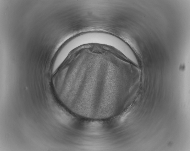 X0000089950156200707201933