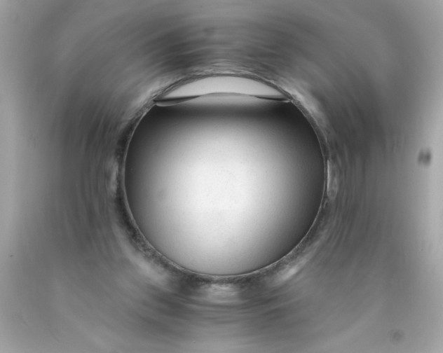 X0000089950157200707201933