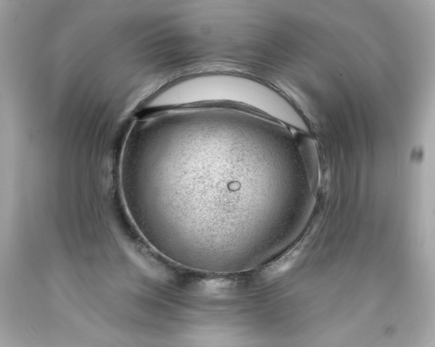 X0000089950158200707201933