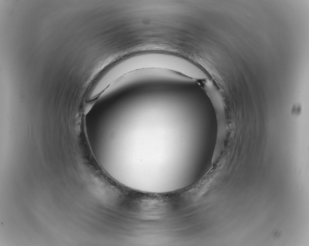 X0000089950160200707201933