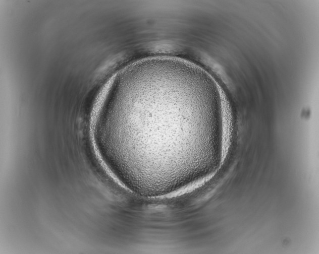 X0000089950161200707201933