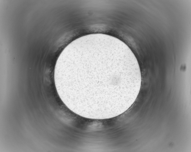 X0000089950162200707201933