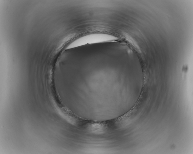 X0000089950163200707201933