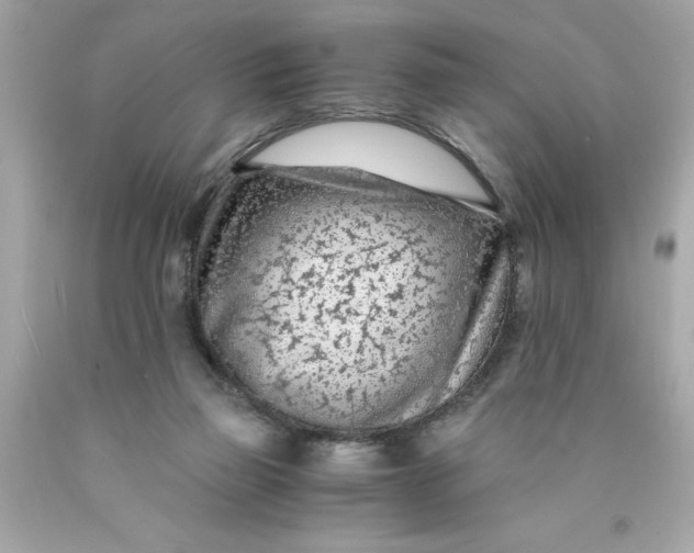 X0000089950165200707201933