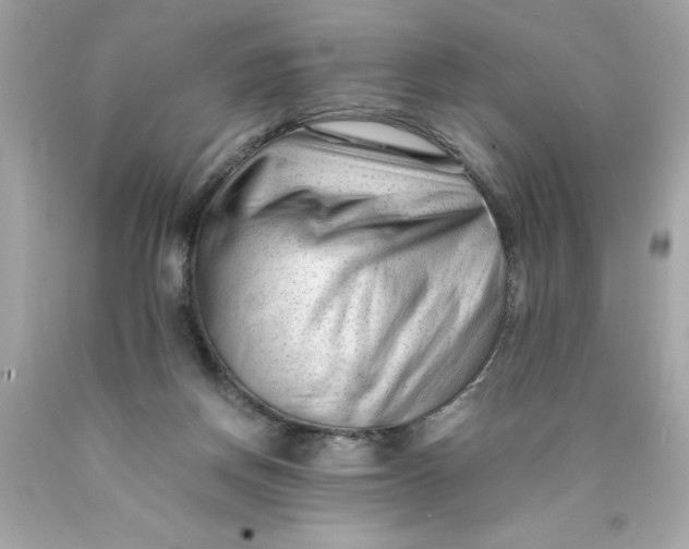 X0000089950166200707201933