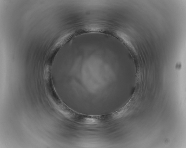 X0000089950167200707201933