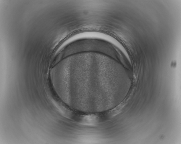 X0000089950168200707201933