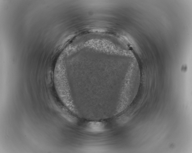 X0000089950169200707201933