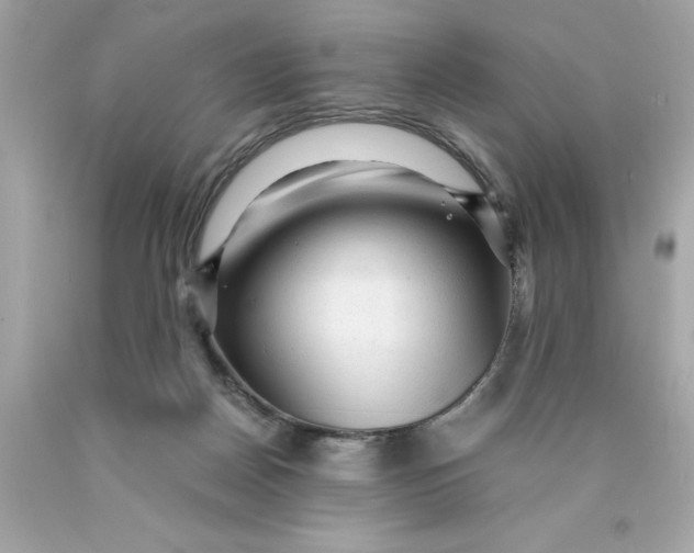 X0000089950170200707201933