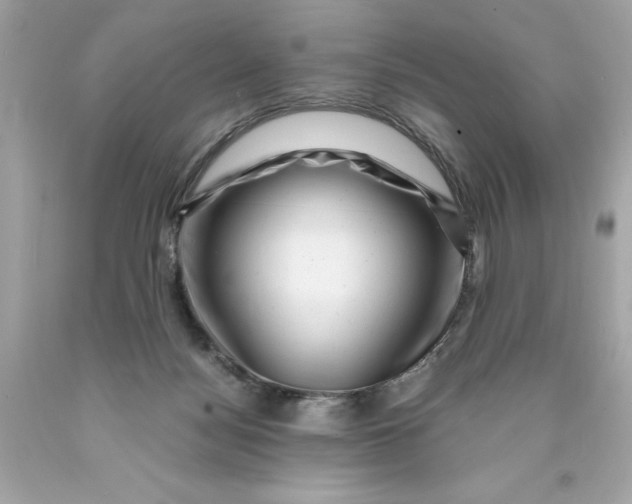 X0000089950172200707201933