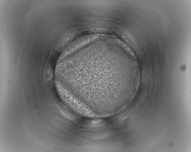 X0000089950173200707201933