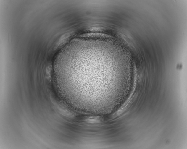 X0000089950175200707201933