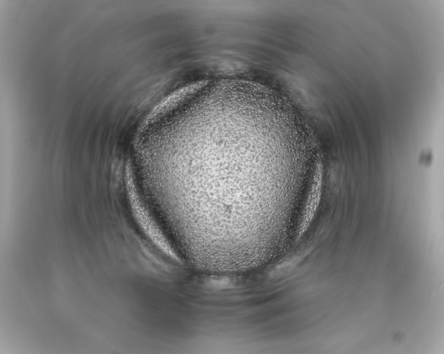 X0000089950177200707201933