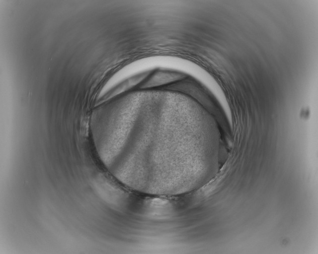 X0000089950180200707201933