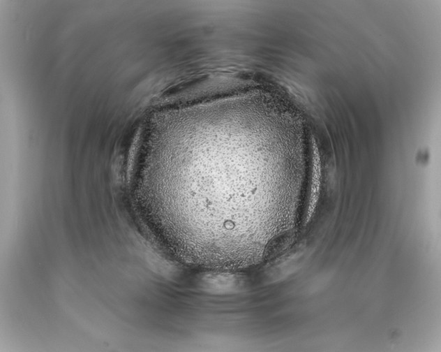 X0000089950181200707201933