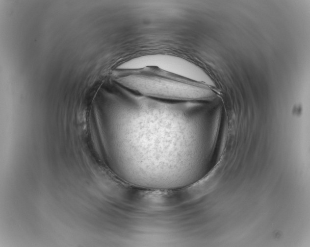 X0000089950182200707201933