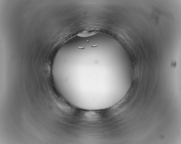 X0000089950183200707201933