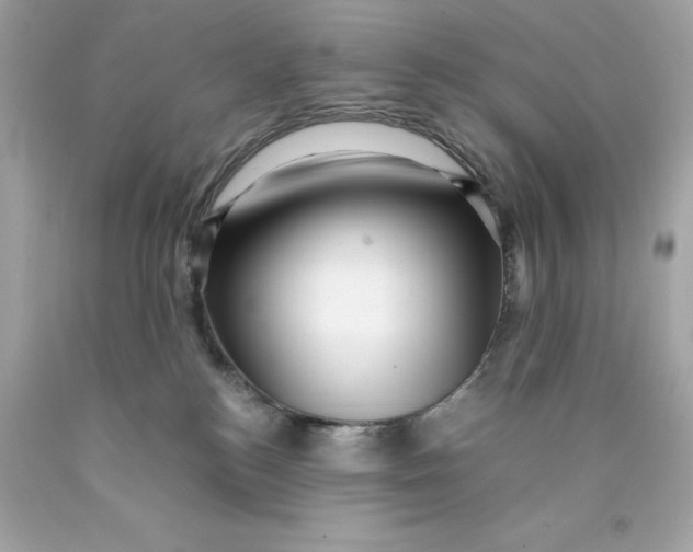 X0000089950184200707201933