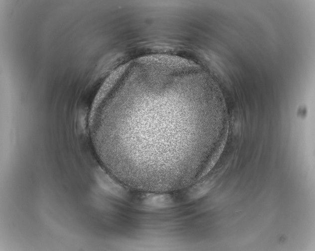 X0000089950185200707201933