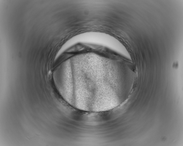 X0000089950186200707201933