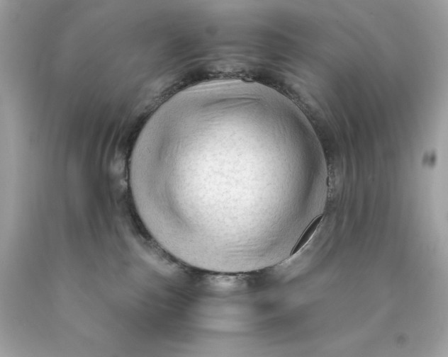 X0000089950187200707201933