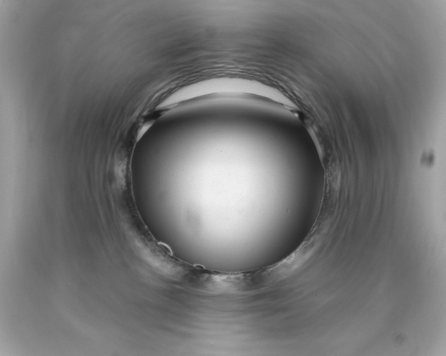 X0000089950188200707201933