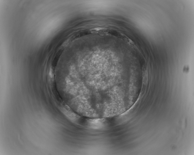 X0000089950191200707201933