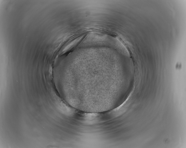 X0000089950192200707201933