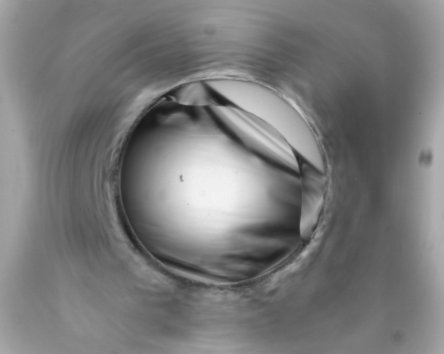 X0000089950193200707201933