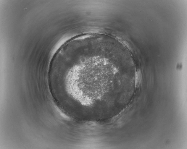 X0000089950195200707201933