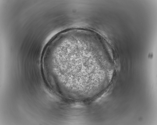 X0000089950196200707201933