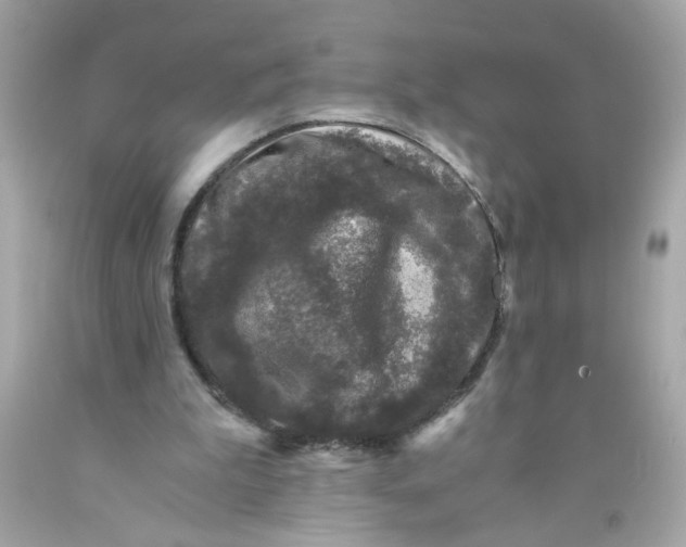 X0000089950199200707201933