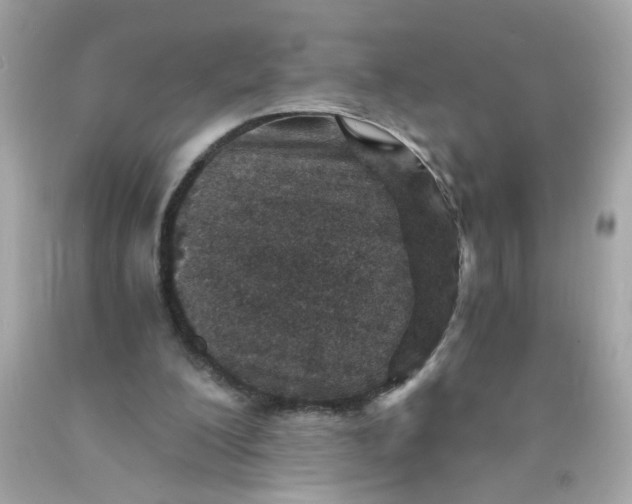 X0000089950200200707201933