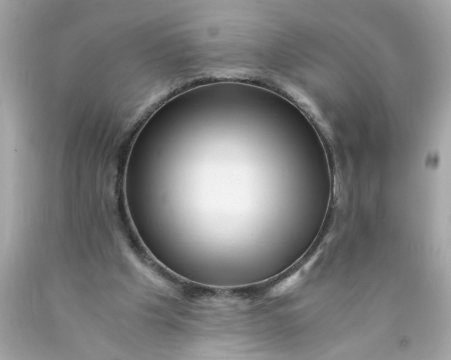 X0000089950201200707201933