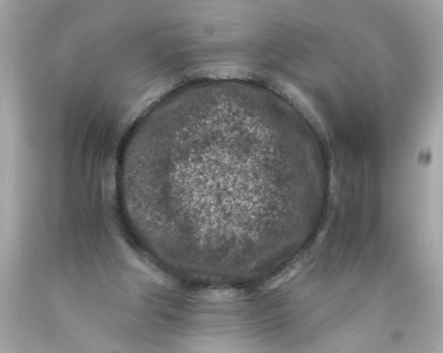 X0000089950202200707201933