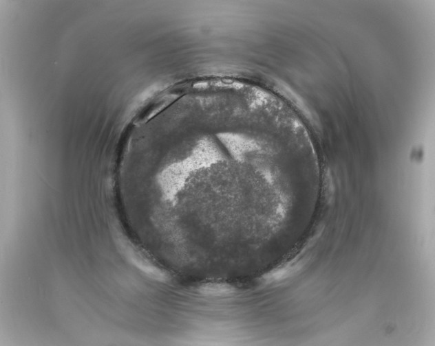 X0000089950203200707201933