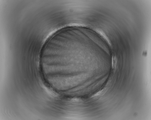 X0000089950204200707201933