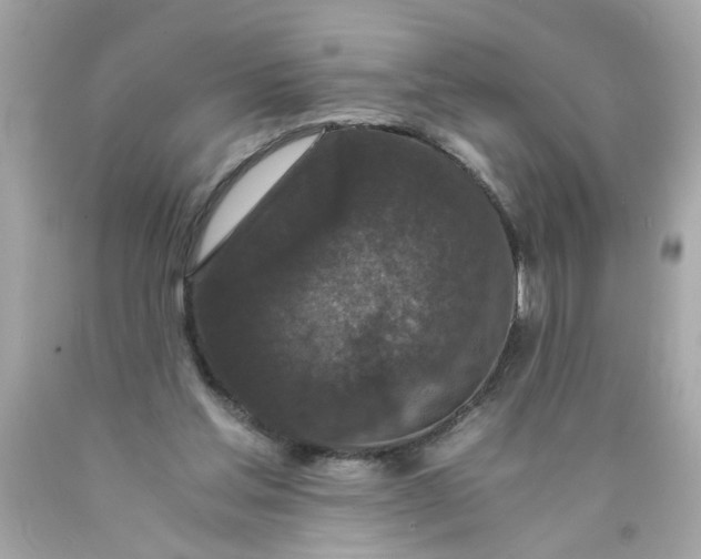 X0000089950205200707201933