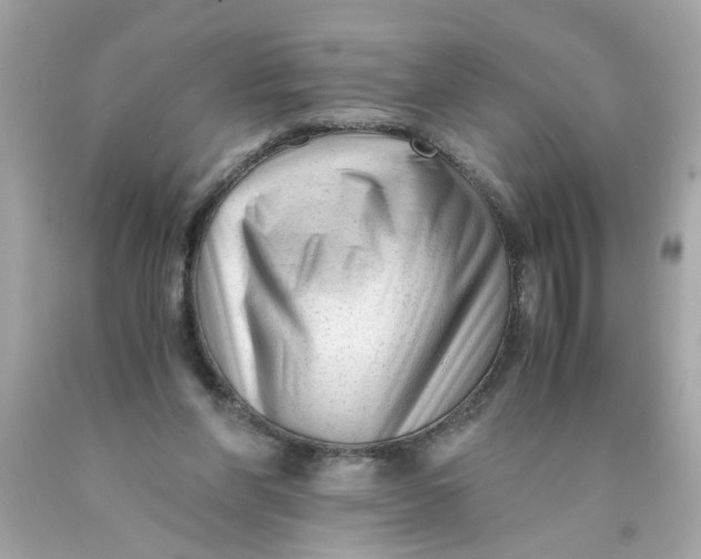 X0000089950206200707201933