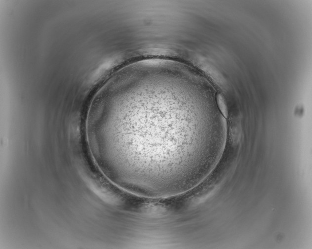 X0000089950207200707201933