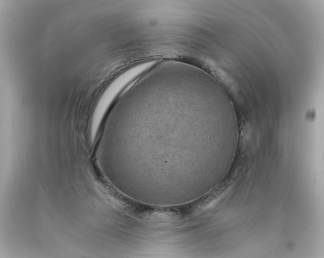 X0000089950209200707201933